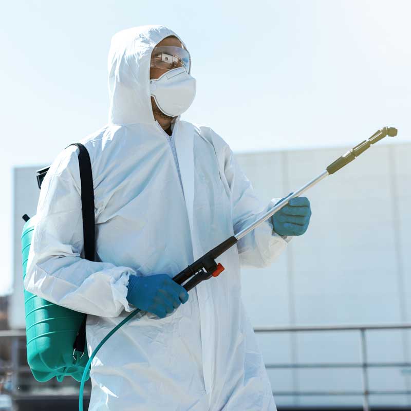 CEDAJE-NETTOYAGE-Entretien-ménager-nettoyage-locaux--votre-tranquillité-Des-prestations-de-nettoyage-éco-responsable